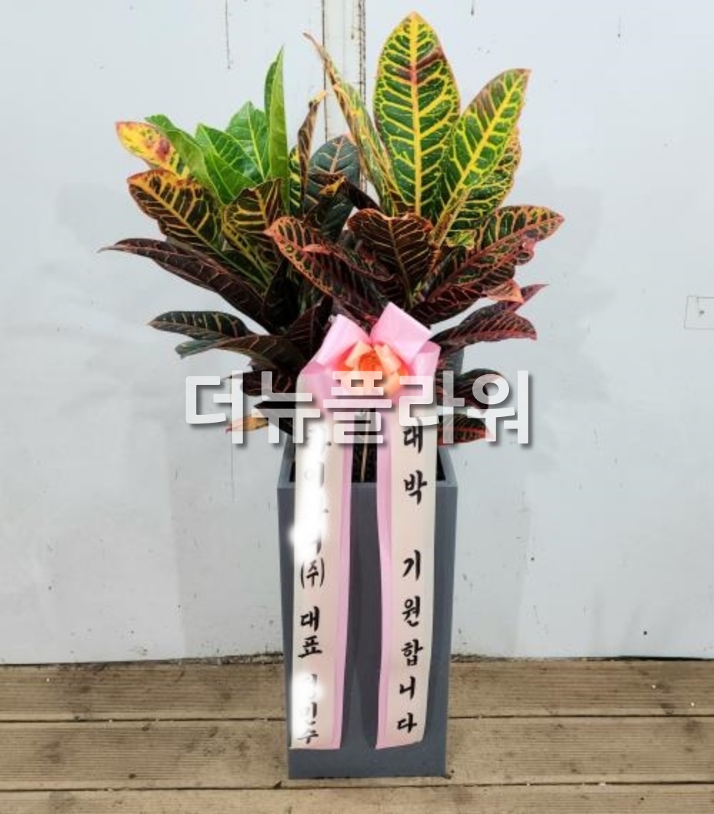 배송 완료 사진 3