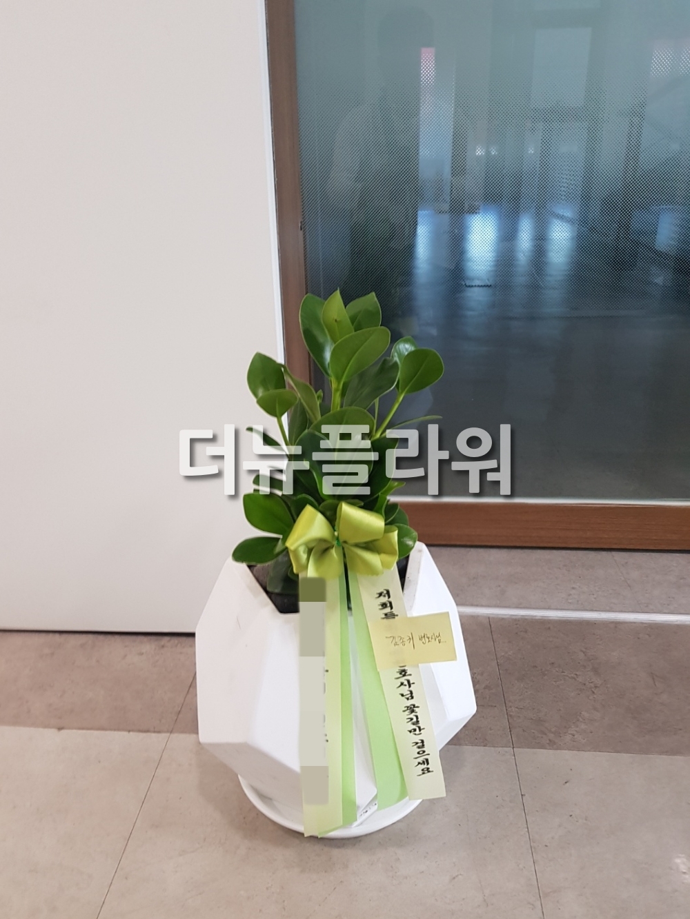 배송 완료 사진 5