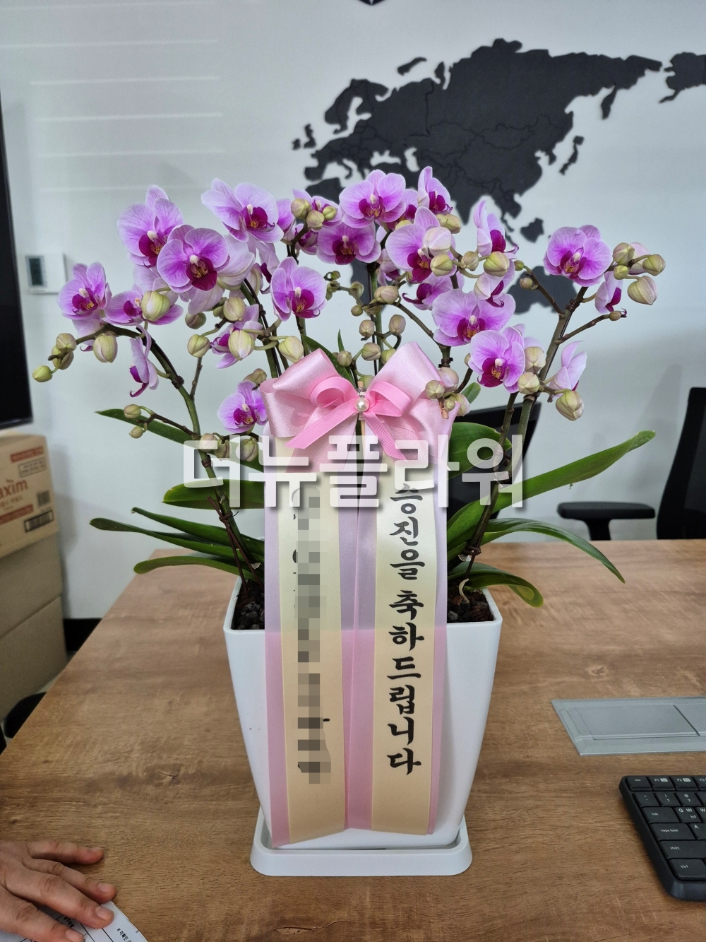 배송 완료 사진 6